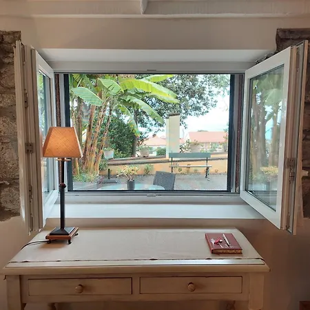 Purple Studio Фуншал