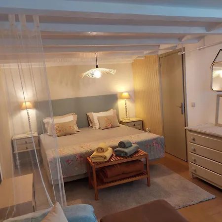 Purple Studio Apartment