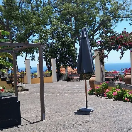 Purple Funchal (Madeira)