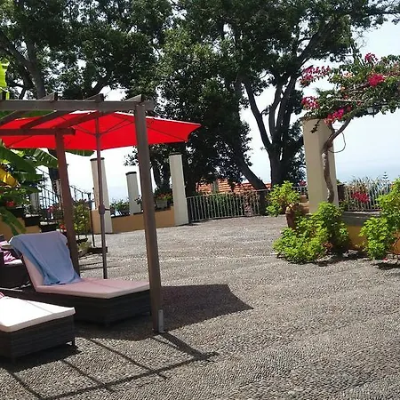 Purple Studio * Фуншал