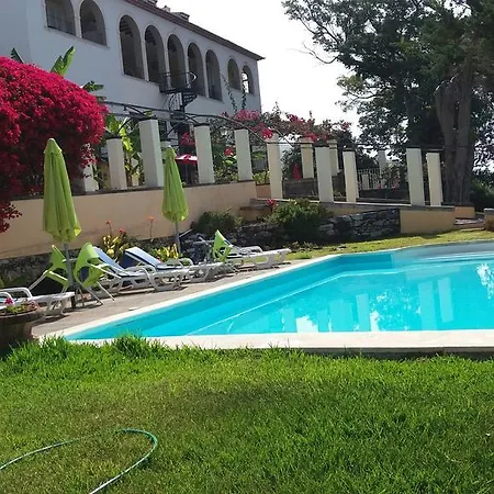 Апартаменты Purple Studio *