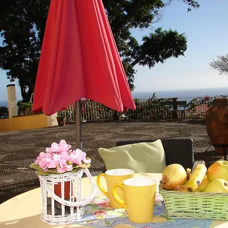 Purple Studio Apartment Funchal (Madeira)