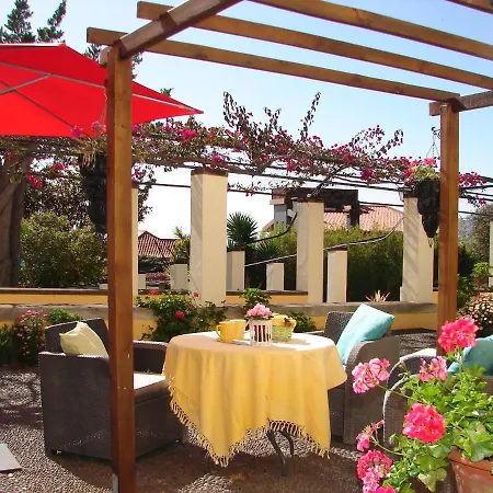 Purple Studio * Фуншал