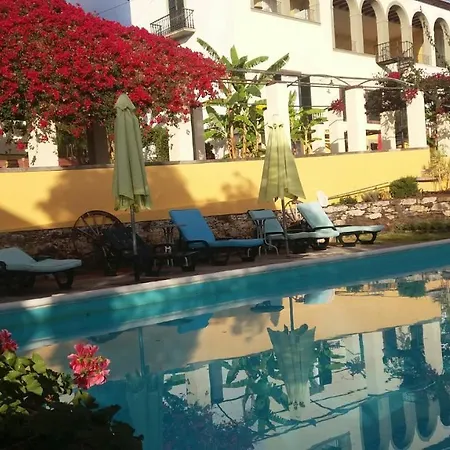 Purple Studio Апартаменты