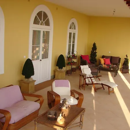 Purple Funchal (Madeira)