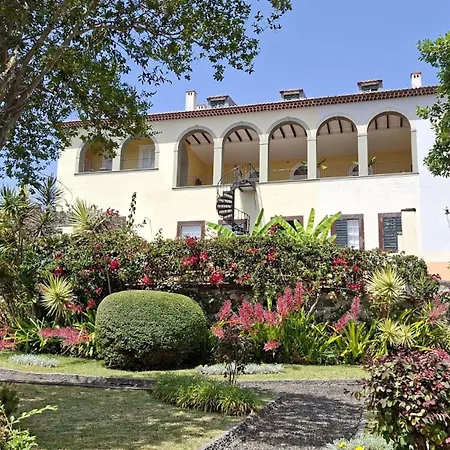 Purple * Funchal (Madeira)