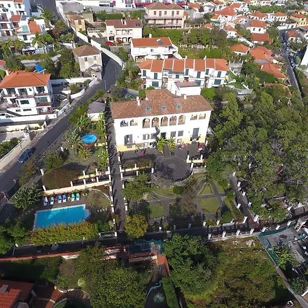 Daire Purple Funchal