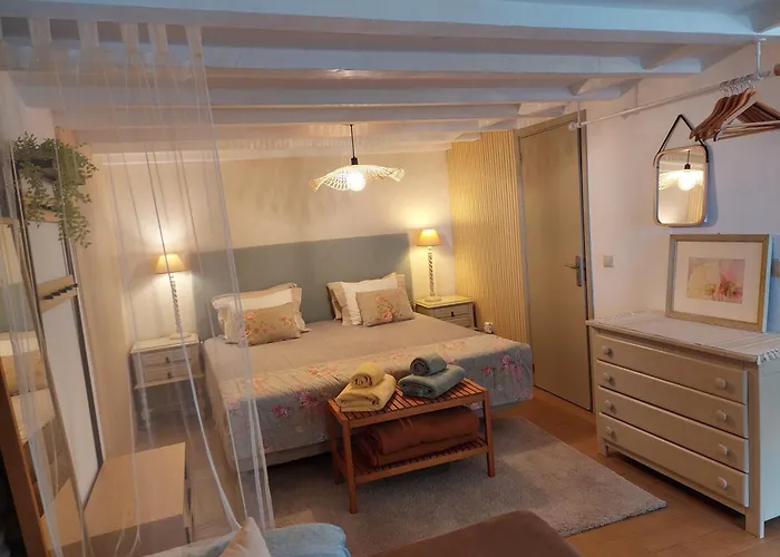 Purple Studio Apartment