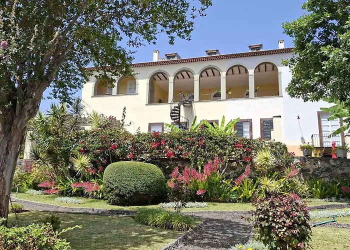 Purple Studio * Funchal (Madeira)