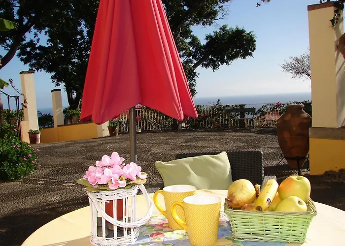 Purple Studio Apartment Funchal (Madeira)