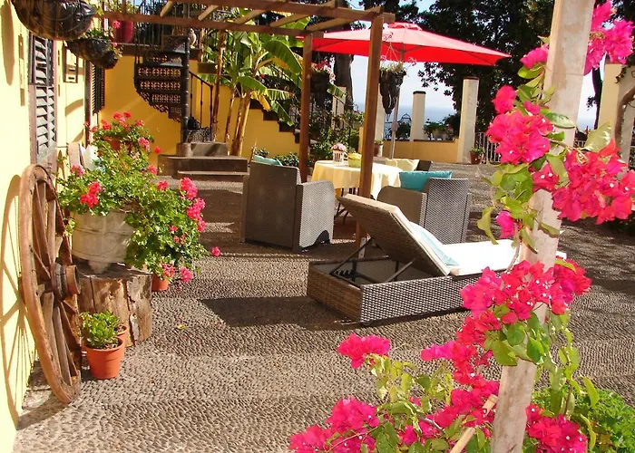 Purple Studio Apartment