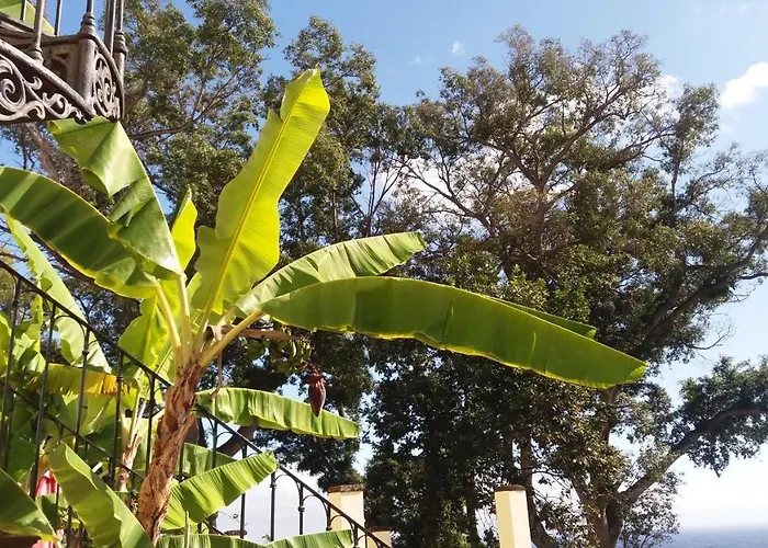 Purple Studio Lägenhet *