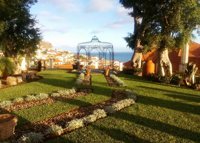 Purple Studio Apartment