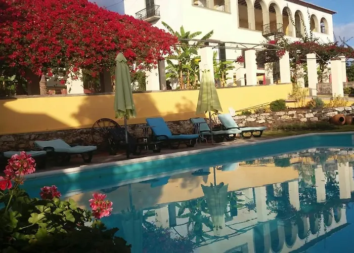 Purple Studio Apartment